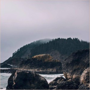 Fleshworld Gazers Viscera