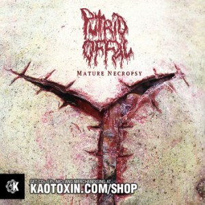 Putrid Offal