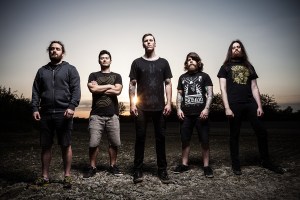 Neck of the Woods Band