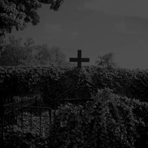 Eye of Solitude Faal