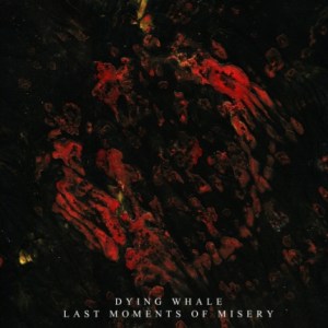 Dying Whale