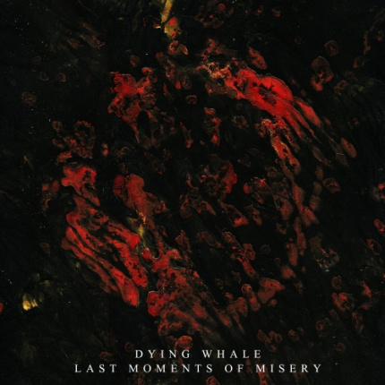 Dying Whale – Last Moments of Misery&nbsp;(Review)