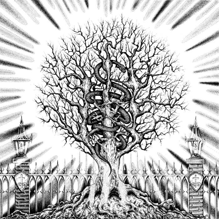 In the Company of Serpents – Ain-Soph Aur&nbsp;(Review)