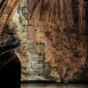 Gridfailure & Megalophobe