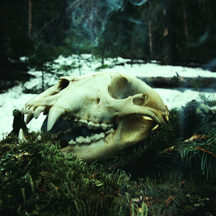 Arkheron Thodol – Thaw&nbsp;(Review)