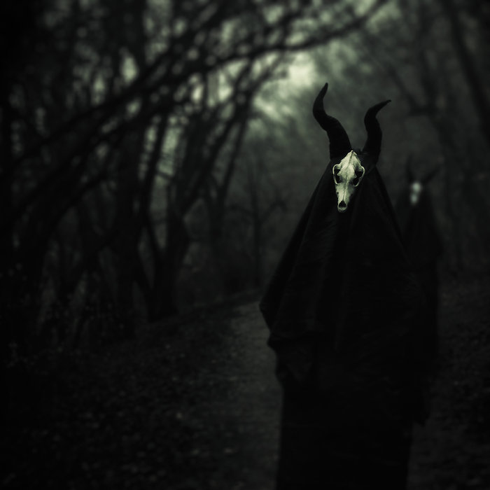 White Ward – Futility Report&nbsp;(Review)