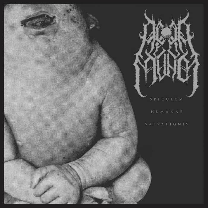 Acedia Mundi – Speculum Humanae Salvationis&nbsp;(Review)