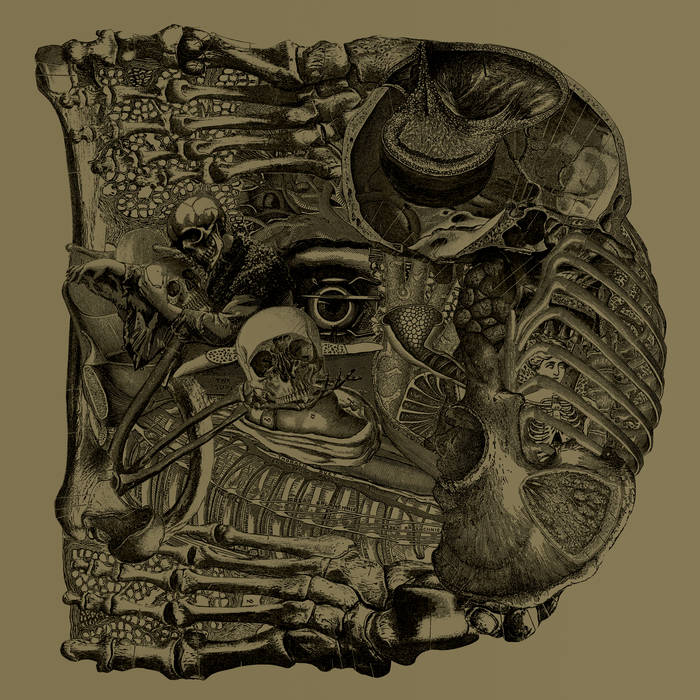 Boris – Dear&nbsp;(Review)