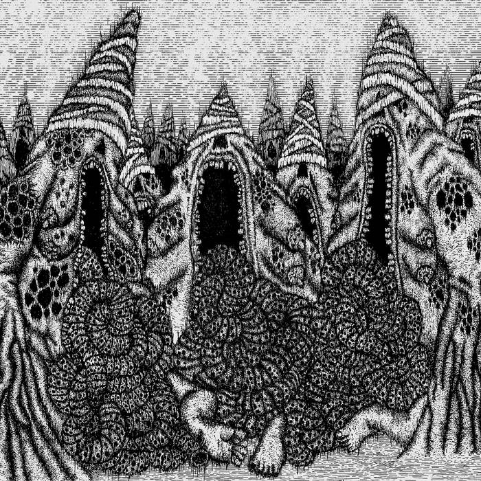 Ligæder – Fordøjet Levende&nbsp;(Review)