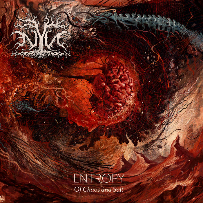 Nyn – Entropy: (of Chaos and Salt)&nbsp;(Review)