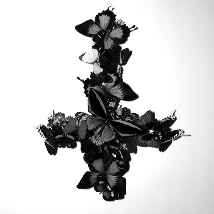 Monarch – Never Forever&nbsp;(Review)