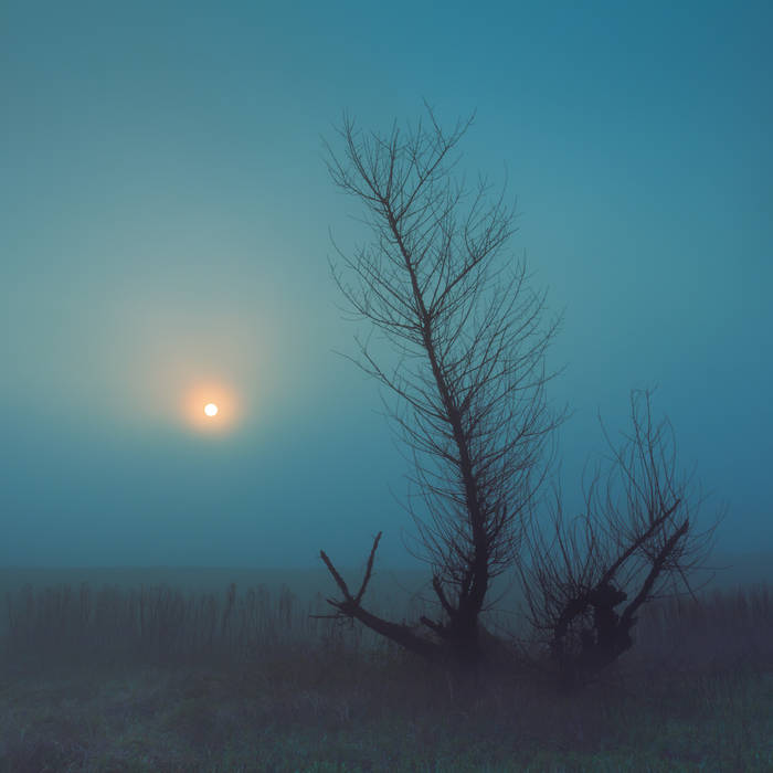 Widziadło – Void&nbsp;(Review)