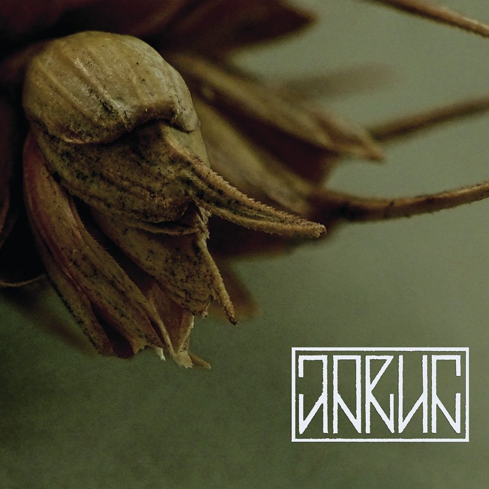 Jarun – Sporysz&nbsp;(Review)