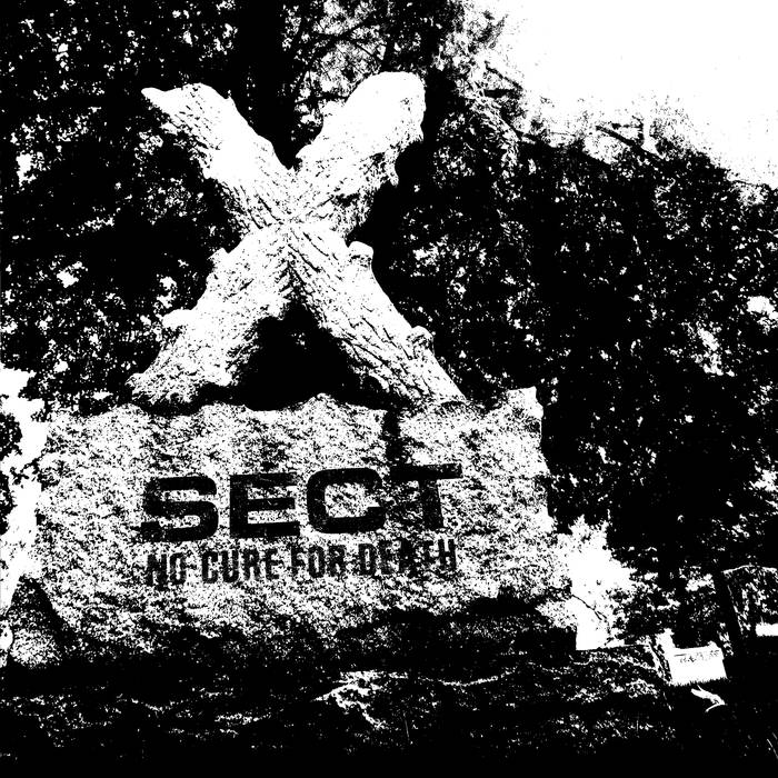 Sect – No Cure for Death&nbsp;(Review)