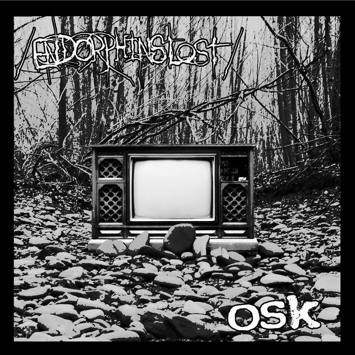 Endorphins Lost/Osk – Split&nbsp;(Review)