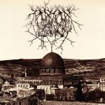 Entropy Created Consciousness