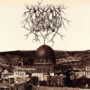 Entropy Created Consciousness