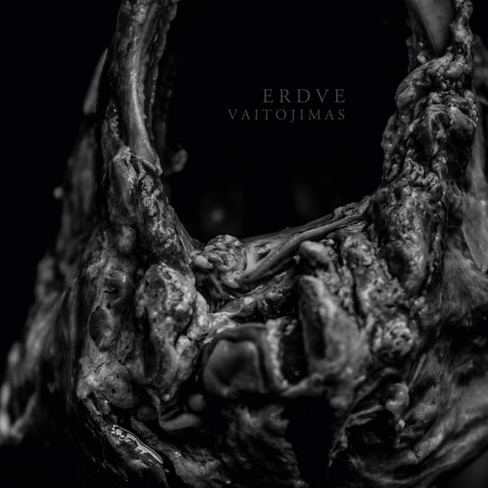 Erdve – Vaitojimas&nbsp;(Review)