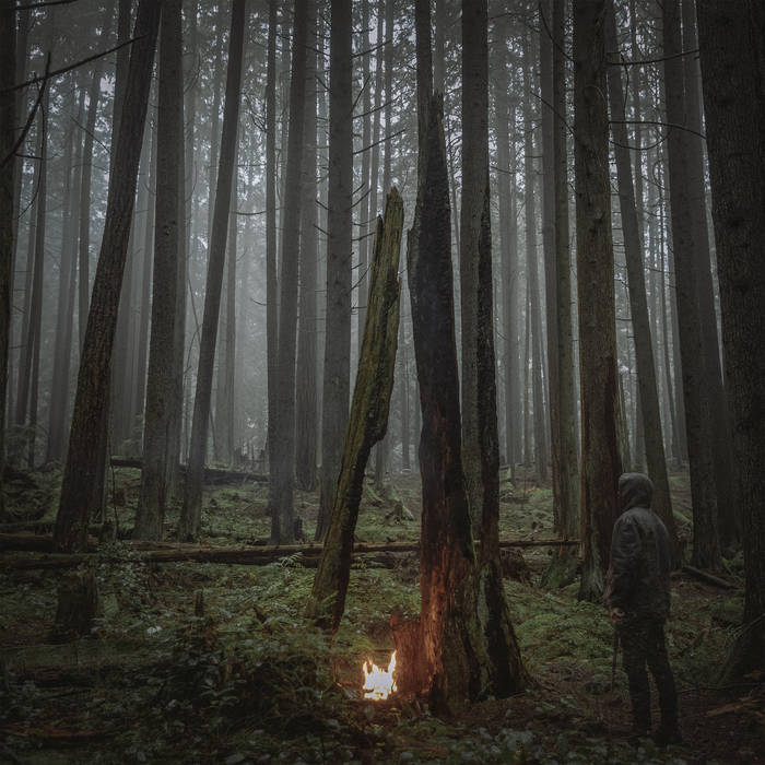 Baptists – Beacon of Faith&nbsp;(Review)