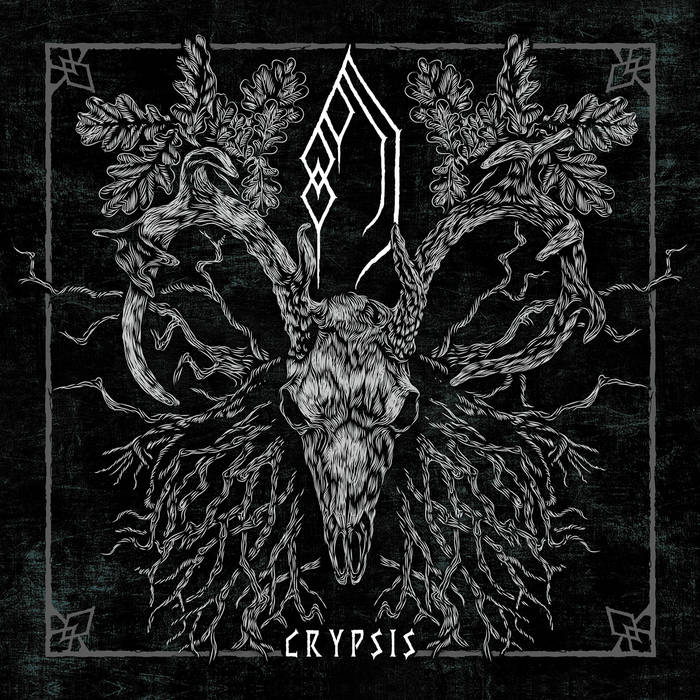 Forest of Grey – Crypsis&nbsp;(Review)