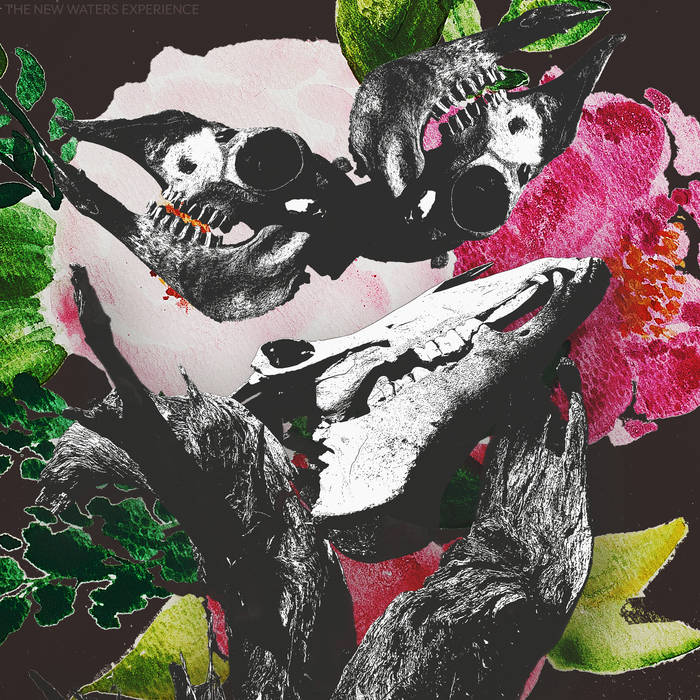 New Waters – Experience&nbsp;(Review)