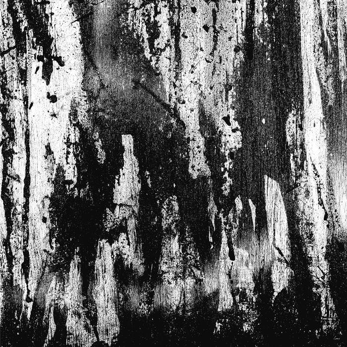 Wombripper – From the Depths of Flesh&nbsp;(Review)