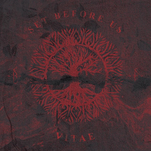 Set Before Us – Vitae&nbsp;(Review)
