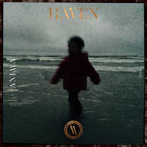 Haven - Anima