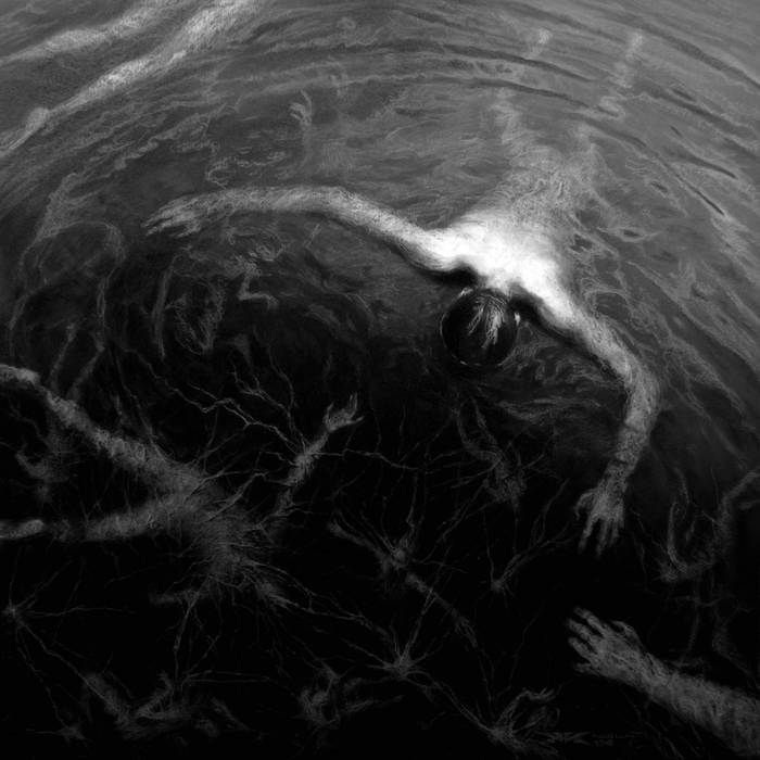 Monthly Overview – the Best of January&nbsp;2019