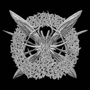 mallephyr - womb of worms