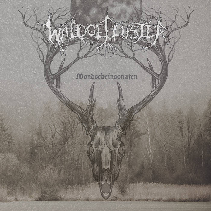 Waldgeflüster – Mondscheinsonaten (Review)