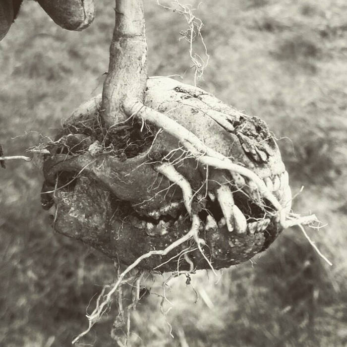 God’s Bastard – Last Standing Village&nbsp;(Review)