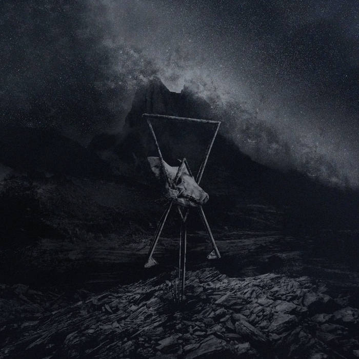 Unknown Artist – A Pig’s Head on a Stick&nbsp;(Review)