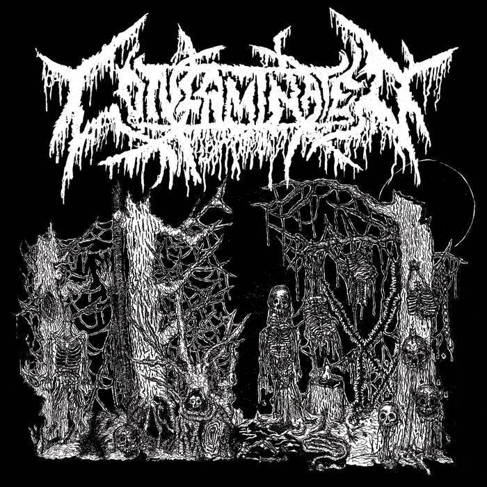 Contaminated/Kutabare – Death Sick/Funeral Erection – Split&nbsp;(Review)