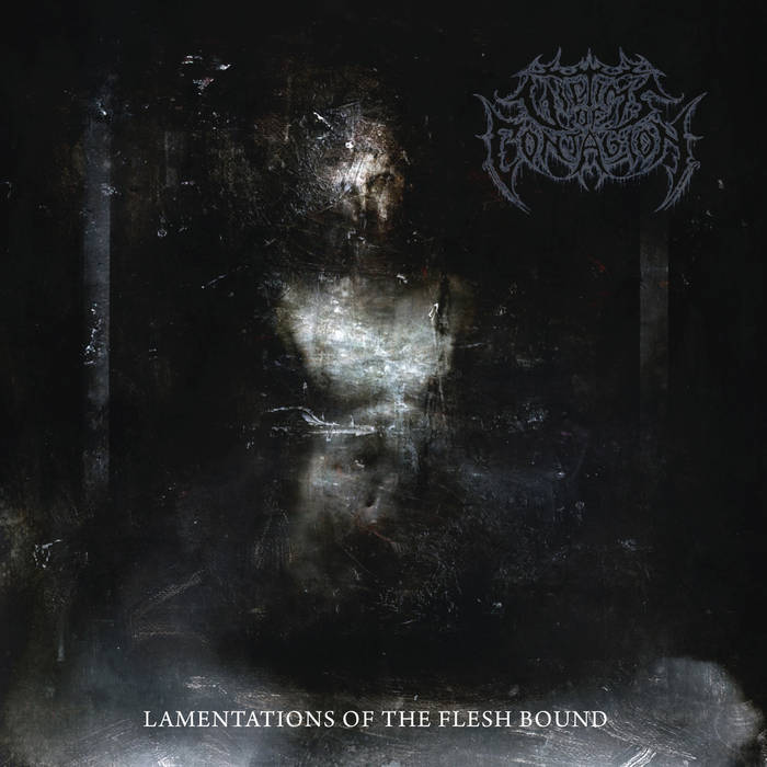 Victims of Contagion – Lamentations of the Flesh Bound&nbsp;(Review)