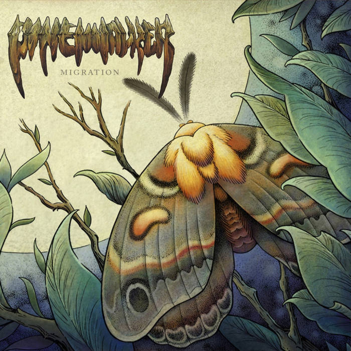 Pinewalker – Migration&nbsp;(Review)