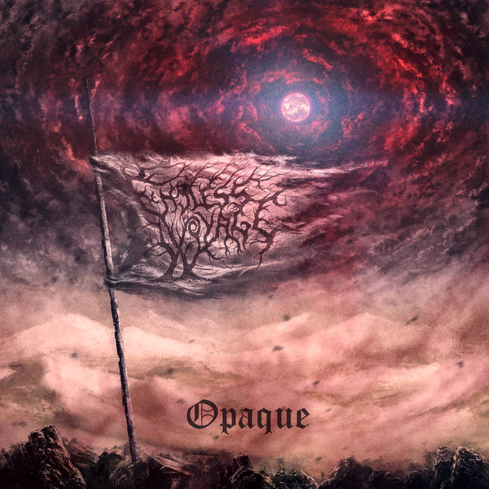Endless Voyage X – Opaque&nbsp;(Review)