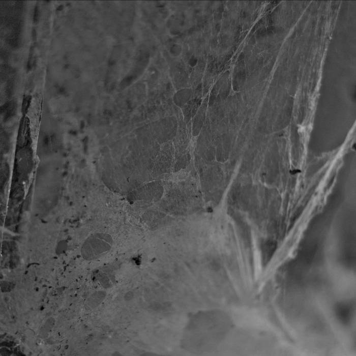 Moanaa – Torches&nbsp;(Review)