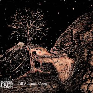 Ilienses Tree - Till Autumn Comes
