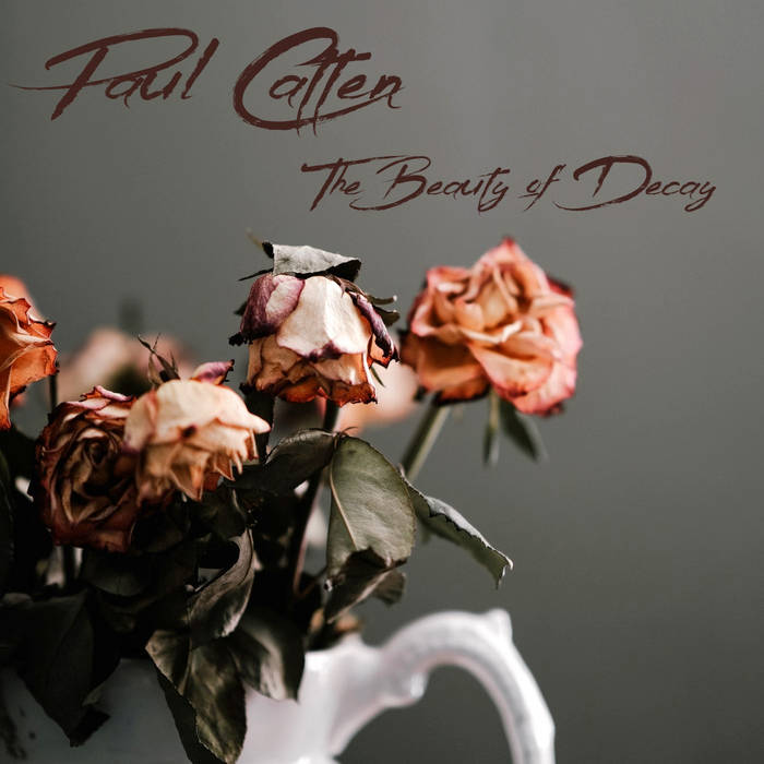 Paul Catten – The Beauty of Decay&nbsp;(Review)