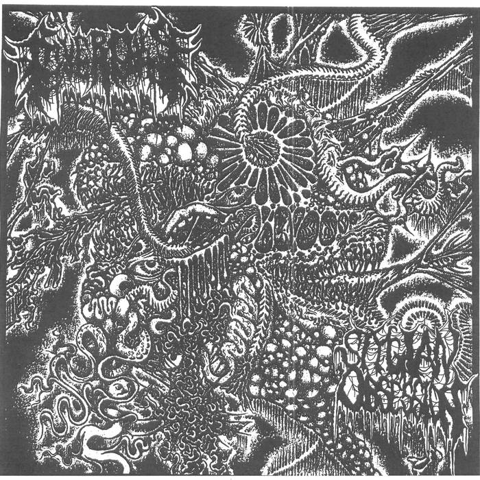 Civerous/Stygian Obsession – Heralds of Affliction – Split&nbsp;(Review)