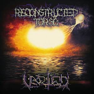 Reconstructed Torso - Varied