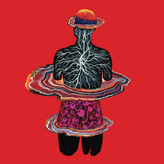 Intervals – Circadian&nbsp;(Review)