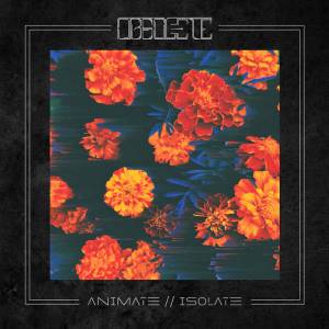 Obsolete - Animate​Isolate