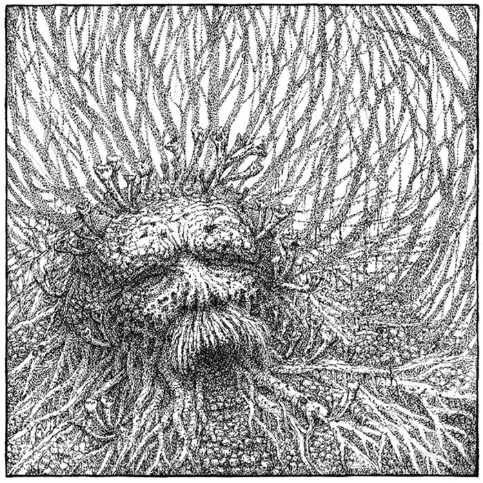 Nemorous – Nemorous&nbsp;(Review)