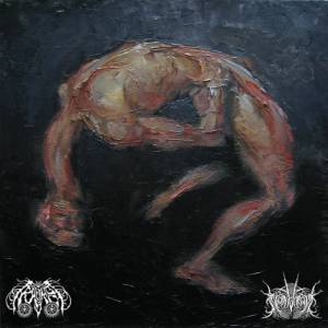 Francis Root Sconsacrata - Split