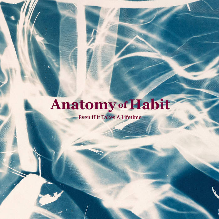 Anatomy of Habit – Even If It Takes a Lifetime&nbsp;(Review)