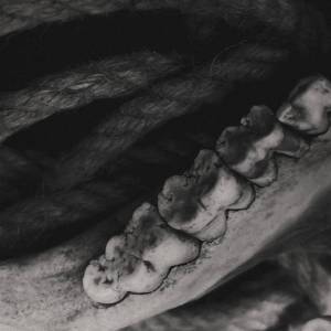 Gozer - An Endless Static