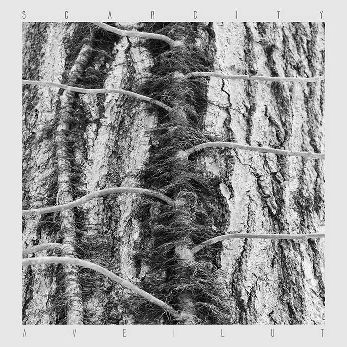 Scarcity – Aveilut&nbsp;(Review)