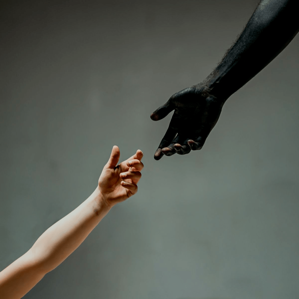 Aviana – Corporation&nbsp;(Review)